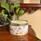Dancing Breeze 3-Wick Pure Soy Candle