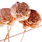Sholapith Flowers