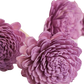 Sholapith Flowers
