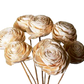 Sholapith Flowers